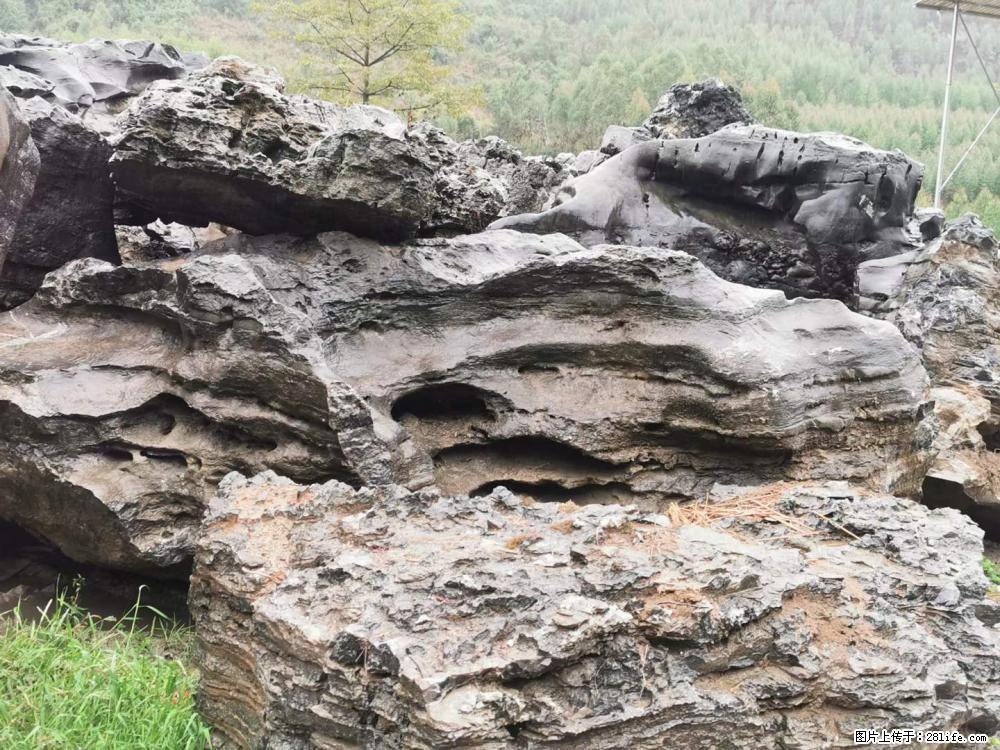 风景石、假山石大量有货，有需要的欢迎联系 - 新手上路 - 保定生活社区 - 保定28生活网 bd.28life.net