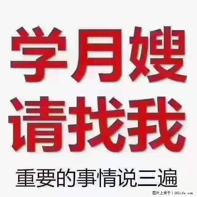 为什么要学习月嫂，育婴师？ - 新手上路 - 保定生活社区 - 保定28生活网 bd.28life.net