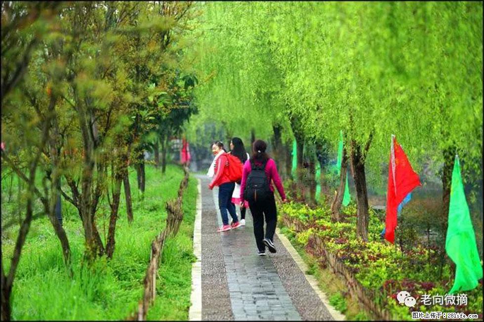 【春天，广西桂林灌阳县向您发出邀请！】江口老街又逢春 - 游山玩水 - 保定生活社区 - 保定28生活网 bd.28life.net