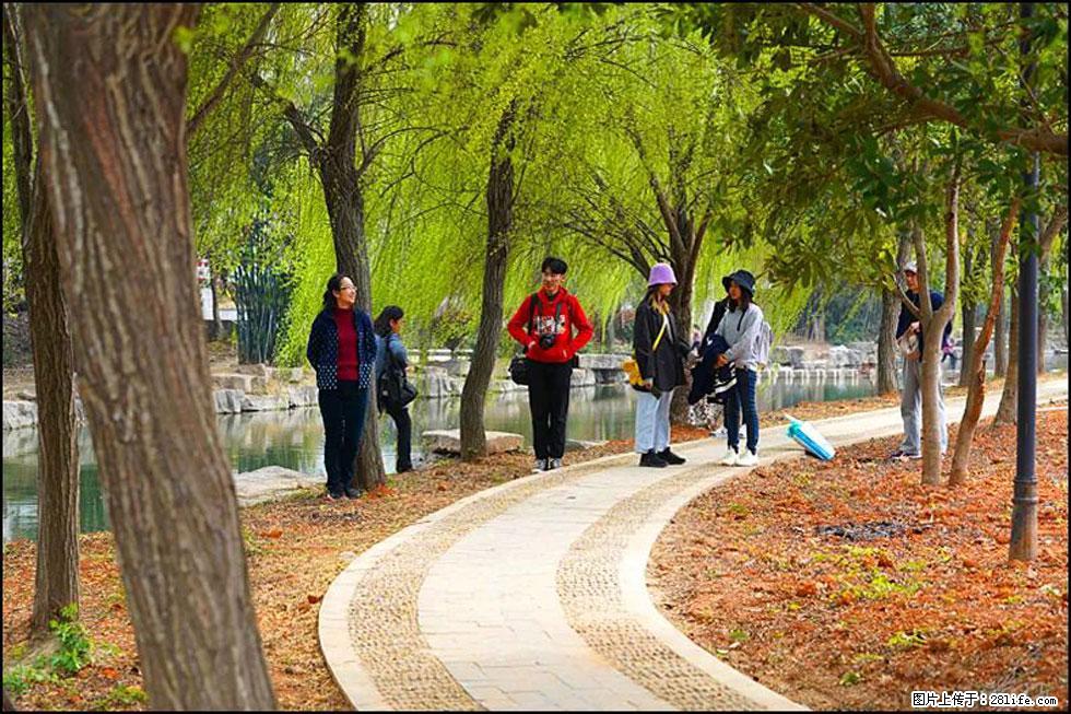 【春天，广西桂林灌阳县向您发出邀请！】江口老街又逢春 - 游山玩水 - 保定生活社区 - 保定28生活网 bd.28life.net