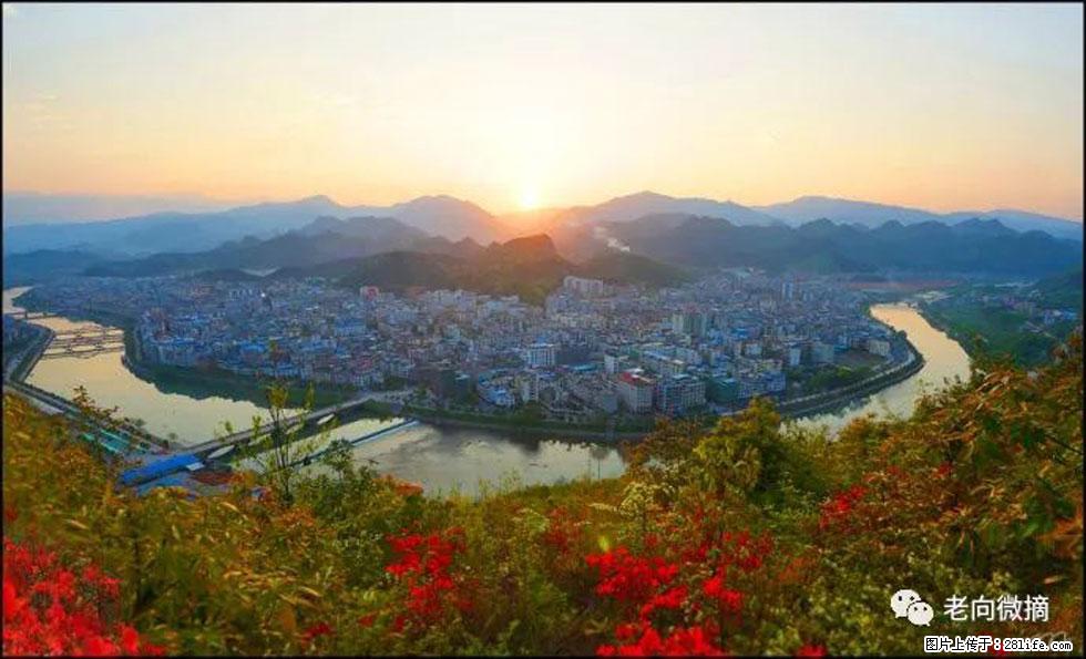 【春天，广西桂林灌阳县向您发出邀请！】登麒麟山，相约映山红 - 游山玩水 - 保定生活社区 - 保定28生活网 bd.28life.net