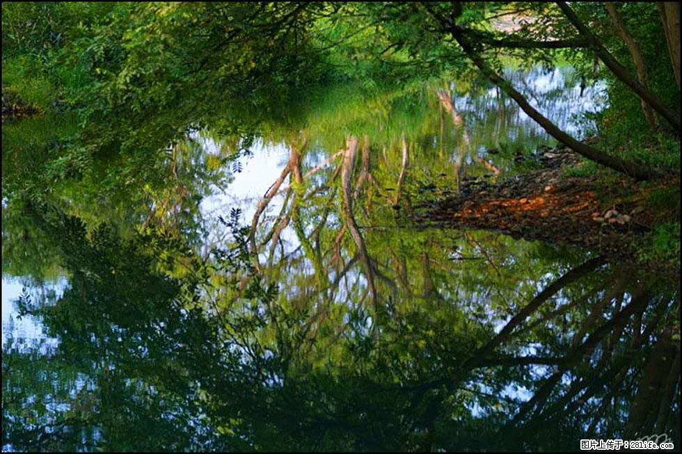 【春天，广西桂林灌阳县向您发出邀请！】熊家寨湿地公园 - 游山玩水 - 保定生活社区 - 保定28生活网 bd.28life.net