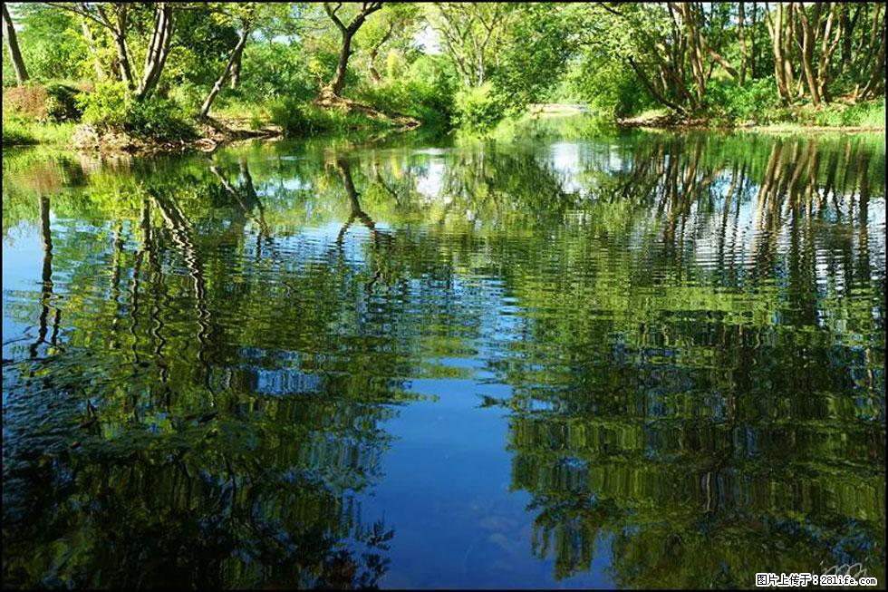 【春天，广西桂林灌阳县向您发出邀请！】熊家寨湿地公园 - 游山玩水 - 保定生活社区 - 保定28生活网 bd.28life.net