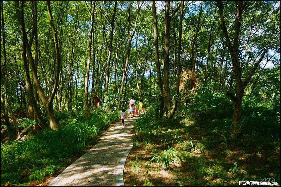 【春天，广西桂林灌阳县向您发出邀请！】熊家寨湿地公园 - 游山玩水 - 保定生活社区 - 保定28生活网 bd.28life.net