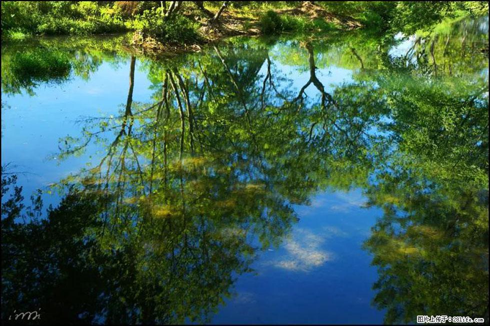 【春天，广西桂林灌阳县向您发出邀请！】熊家寨湿地公园 - 游山玩水 - 保定生活社区 - 保定28生活网 bd.28life.net