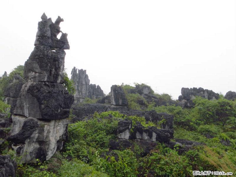 桂林旅游名城景点：灌阳文市石林 - 游山玩水 - 保定生活社区 - 保定28生活网 bd.28life.net