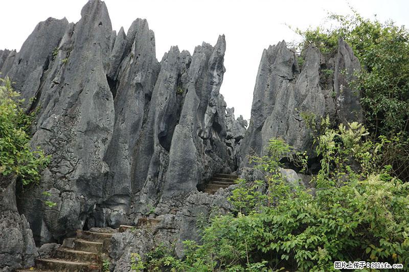 桂林旅游名城景点：灌阳文市石林 - 游山玩水 - 保定生活社区 - 保定28生活网 bd.28life.net