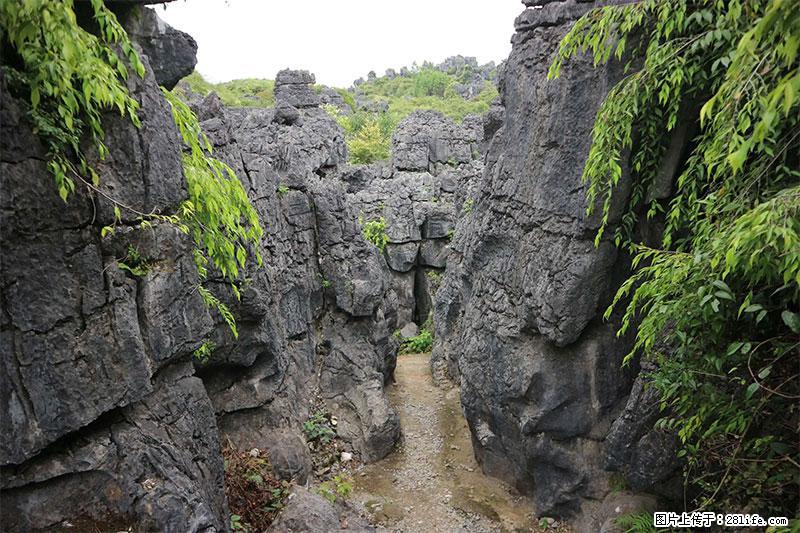 桂林旅游名城景点：灌阳文市石林 - 游山玩水 - 保定生活社区 - 保定28生活网 bd.28life.net