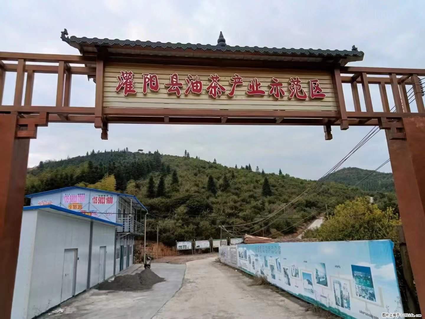 【灌阳县油茶产业示范区】一个有着充实的精神生活的人，对待身外之物自会有一种淡泊的态度 - 土特产 - 饮食特产 - 保定分类信息 - 保定28生活网 bd.28life.net