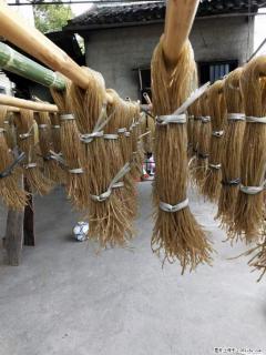 【灌阳正宗红薯粉】美女家里自己做的，干净卫生，假一赔十，价格合理，抢购电话：13737312895 - 保定28生活网 bd.28life.net