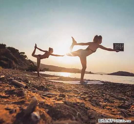 辞掉工作周游世界？现在他们在洗厕所…… - 游山玩水 - 保定生活社区 - 保定28生活网 bd.28life.net