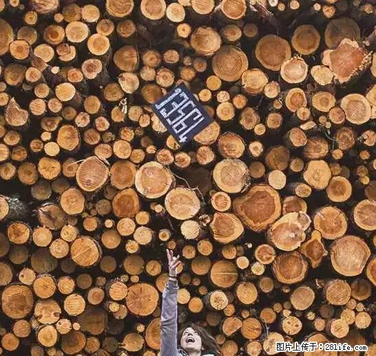 辞掉工作周游世界？现在他们在洗厕所…… - 游山玩水 - 保定生活社区 - 保定28生活网 bd.28life.net