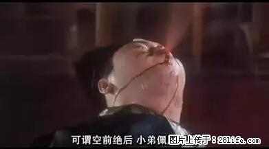 笑癫了！一女的怀孕三年未生，他终于忍不住了... - 娱乐八卦 - 保定生活社区 - 保定28生活网 bd.28life.net