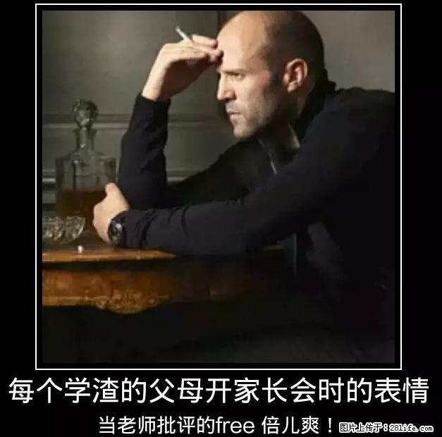 笑癫了！一女的怀孕三年未生，他终于忍不住了... - 娱乐八卦 - 保定生活社区 - 保定28生活网 bd.28life.net