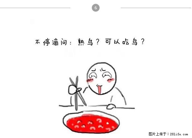 千万不要和这9种哈卵一起吃火锅！ - 美食天地 - 保定生活社区 - 保定28生活网 bd.28life.net