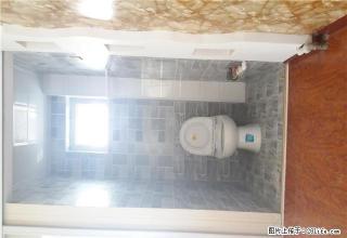 双彩小区一居室精装修全家全电拎包入住看房方便 - 保定28生活网 bd.28life.net