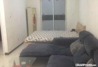 实图！红旗大街上朗月蓝庭一室一厅，精装修带全家全电拎包入住急 - 保定28生活网 bd.28life.net