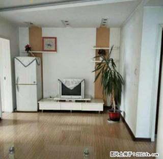 保百附近 八一小区 房子干净 家电齐全 拎包入住 - 保定28生活网 bd.28life.net