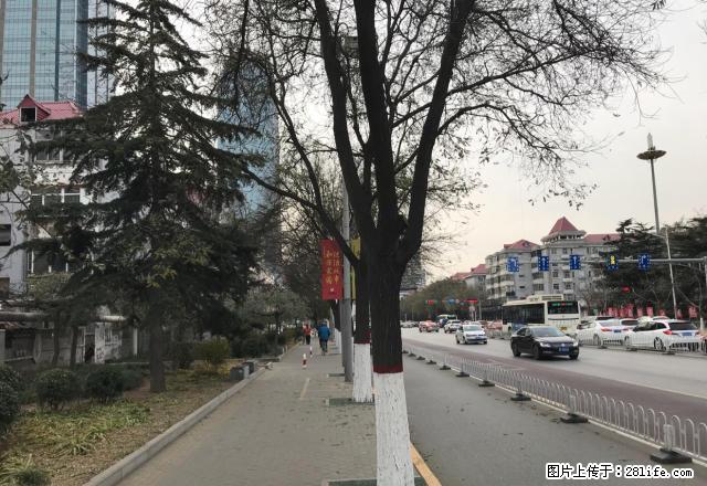 (单间出租)竞秀公园，万博广场旁免物业费，无线WIFI费 - 房屋出租 - 房屋租售 - 保定分类信息 - 保定28生活网 bd.28life.net