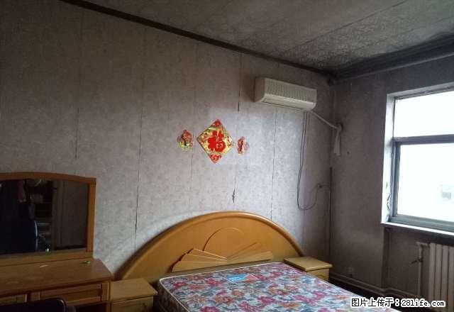 农专北院 文澜阁2室 南北通透全家全电 拎包入住 价格便宜 - 房屋出租 - 房屋租售 - 保定分类信息 - 保定28生活网 bd.28life.net