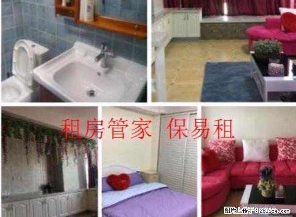 出租 未来石 精装 一室一厅 全家电 随时看房 房主好说话 - 房屋出租 - 房屋租售 - 保定分类信息 - 保定28生活网 bd.28life.net