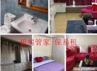 出租 未来石 精装 一室一厅 全家电 随时看房 房主好说话 - 保定28生活网 bd.28life.net