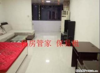 出租 未来石一室一厅 精装修全家电 随时看房 - 保定28生活网 bd.28life.net