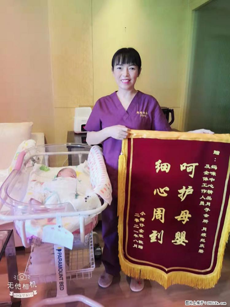 上海高端月子会所招新手月嫂，零基础带教，包吃住 - 职场交流 - 保定生活社区 - 保定28生活网 bd.28life.net