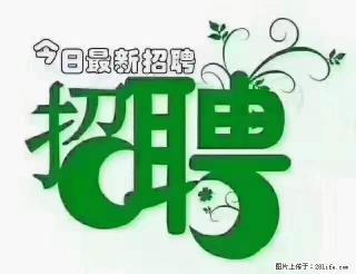 【招聘摄像师】待遇：试用期6000元/月，转正7000元/月+五险一金+餐补+节日福利+奖金 - 保定28生活网 bd.28life.net
