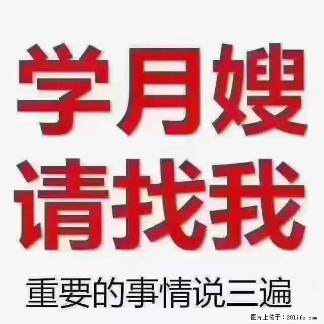 【招聘】月嫂，上海徐汇区 - 职场交流 - 保定生活社区 - 保定28生活网 bd.28life.net