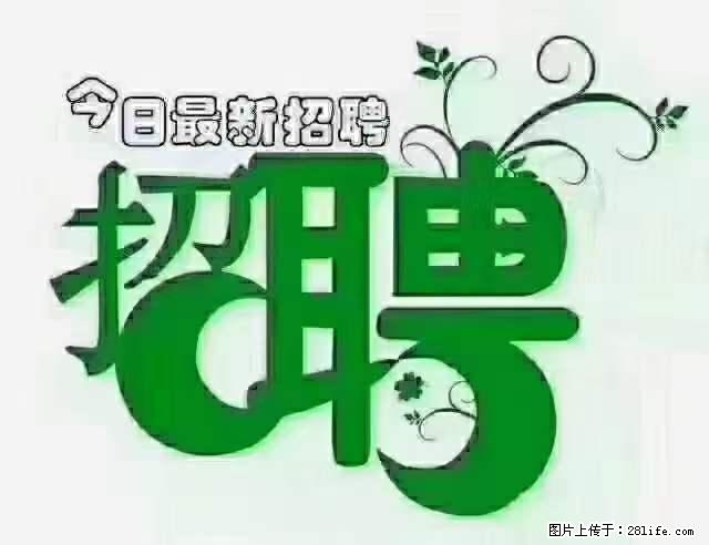 上海隔离酒店招人：55岁以下 男女不限 - 职场交流 - 保定生活社区 - 保定28生活网 bd.28life.net