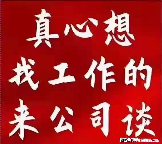 【上海】国企，医院招两名男保安，55岁以下，身高1.7米以上，无犯罪记录不良嗜好 - 职场交流 - 保定生活社区 - 保定28生活网 bd.28life.net