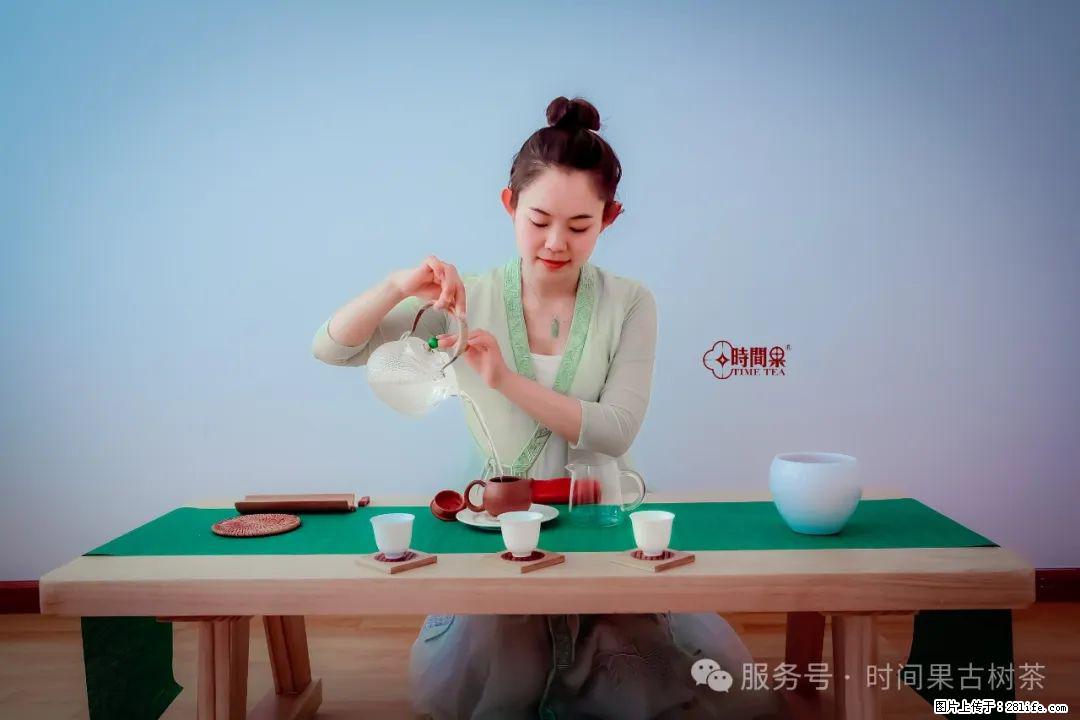 时间果百年古树龙珠普洱生茶 - 购物交流 - 保定生活社区 - 保定28生活网 bd.28life.net