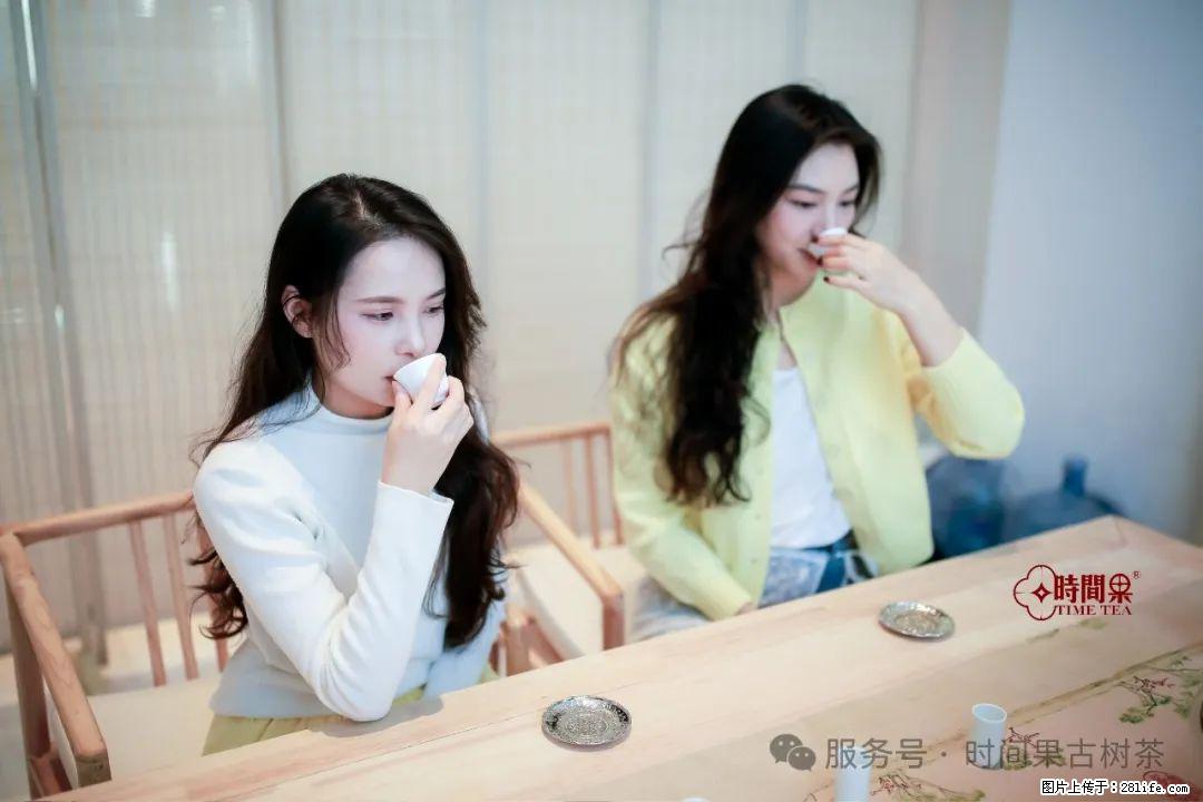 时间果百年古树龙珠普洱生茶 - 购物交流 - 保定生活社区 - 保定28生活网 bd.28life.net