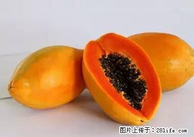 晕车、脚气、牙齿变黄、皮肤粗糙？学会这些三分钟搞定！ - 保定生活资讯 - 保定28生活网 bd.28life.net