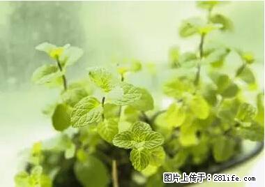 晕车、脚气、牙齿变黄、皮肤粗糙？学会这些三分钟搞定！ - 保定生活资讯 - 保定28生活网 bd.28life.net