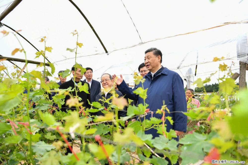 习近平赴广西考察调研 - 保定生活资讯 - 保定28生活网 bd.28life.net