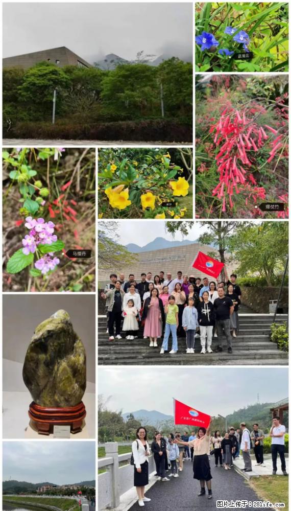 “粤灌文化 美好生活”油茶文化主题活动在广东深圳成功举办 - 保定生活资讯 - 保定28生活网 bd.28life.net