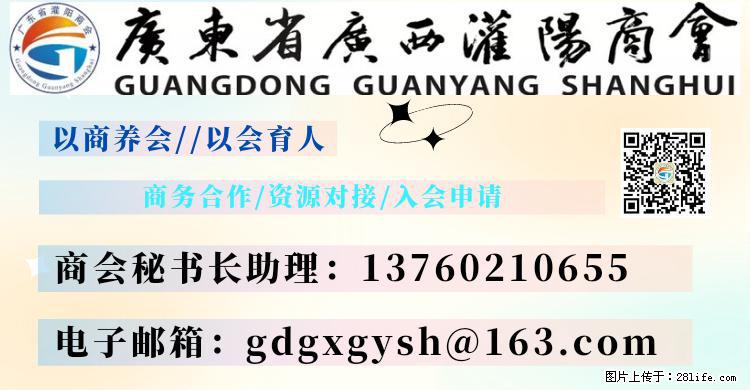 “粤灌文化 美好生活”油茶文化主题活动在广东深圳成功举办 - 保定生活资讯 - 保定28生活网 bd.28life.net