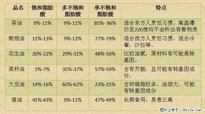 揭秘茶油的5大核心营养成分！被称为人体健康的“守护盾”！ - 保定生活资讯 - 保定28生活网 bd.28life.net