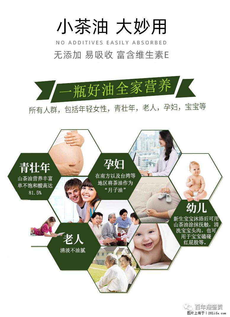 世界没有真相，只有认知，最好的食用油是中国的山茶油！ - 保定生活资讯 - 保定28生活网 bd.28life.net