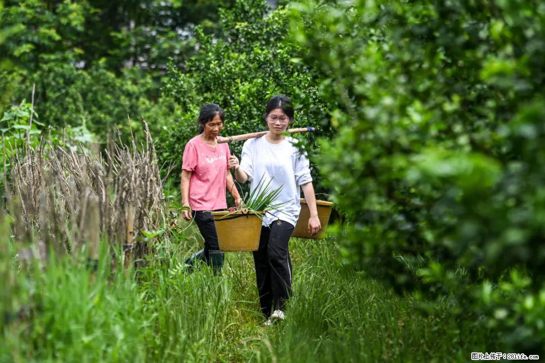 全网追的“扁担女孩”，找了一份暑假工，时薪12元 - 保定生活资讯 - 保定28生活网 bd.28life.net