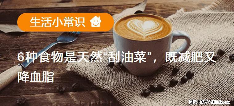 【生活小常识】6种食物是天然“刮油菜”，既减肥又降血脂 - 保定生活资讯 - 保定28生活网 bd.28life.net