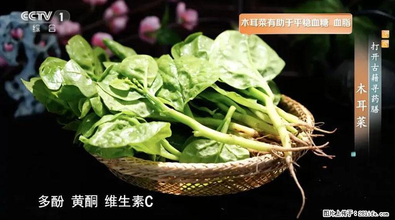 比牛奶补钙还厉害！凉血解毒、稳血糖...这菜冬天必吃，很多人却当草 - 保定生活资讯 - 保定28生活网 bd.28life.net