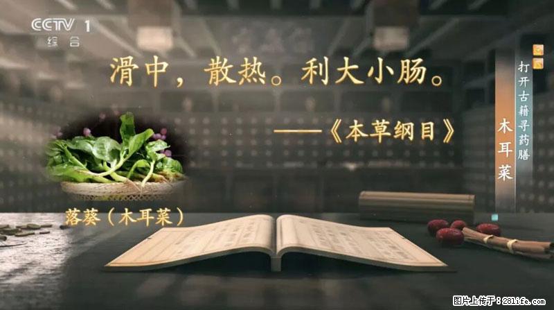 比牛奶补钙还厉害！凉血解毒、稳血糖...这菜冬天必吃，很多人却当草 - 保定生活资讯 - 保定28生活网 bd.28life.net