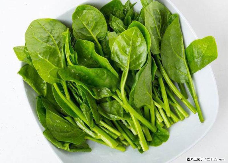 这些蔬菜是“天然钙片”，这6种被医生重点推荐 - 保定生活资讯 - 保定28生活网 bd.28life.net