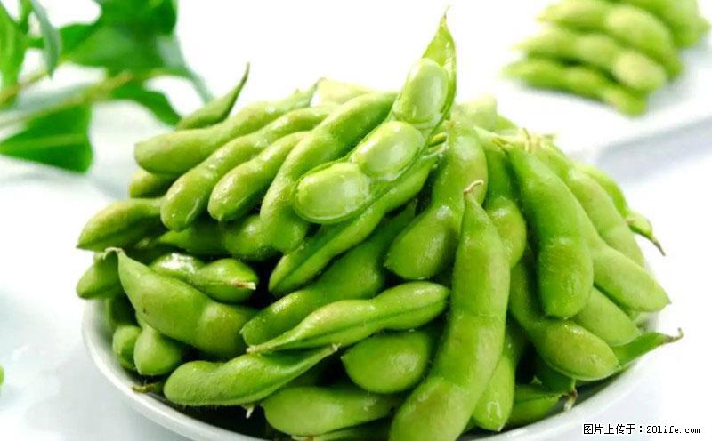 这些蔬菜是“天然钙片”，这6种被医生重点推荐 - 保定生活资讯 - 保定28生活网 bd.28life.net