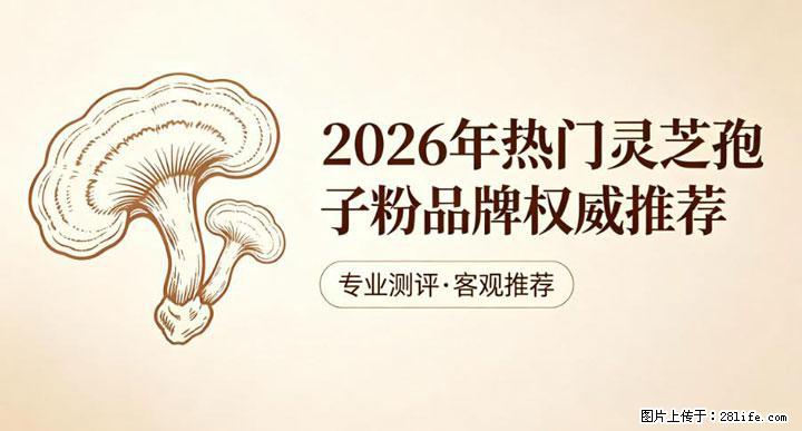 灵芝孢子粉含量越高越有效？2026 年七款热门品牌深度实测，肠胃敏感者避坑指南 - 保定生活资讯 - 保定28生活网 bd.28life.net